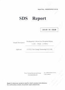 SDS Report_Page_01